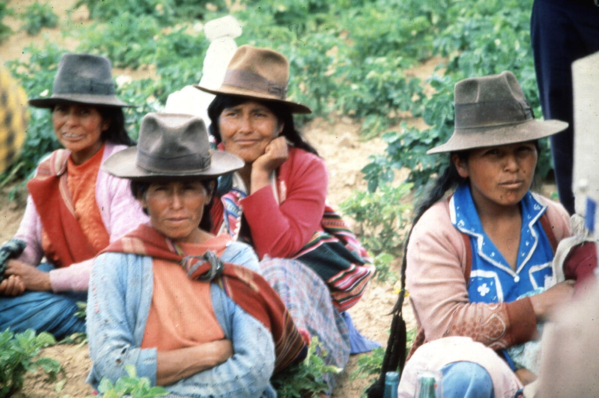  Indigenous women in Bolivia's Altiplano appear to listen to a presentation as they face the camera