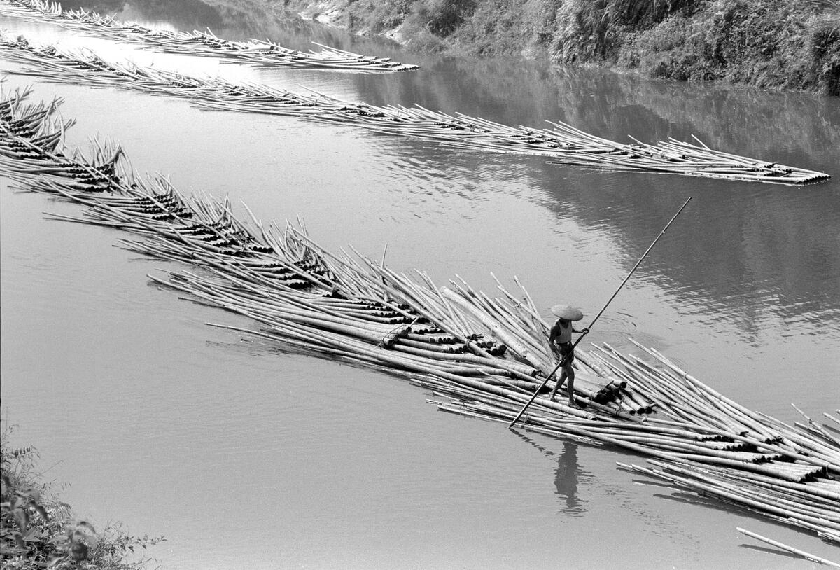 A Chinese farmer, using a pole as an oar, floats downriver standing on V-shaped bamboo bundles