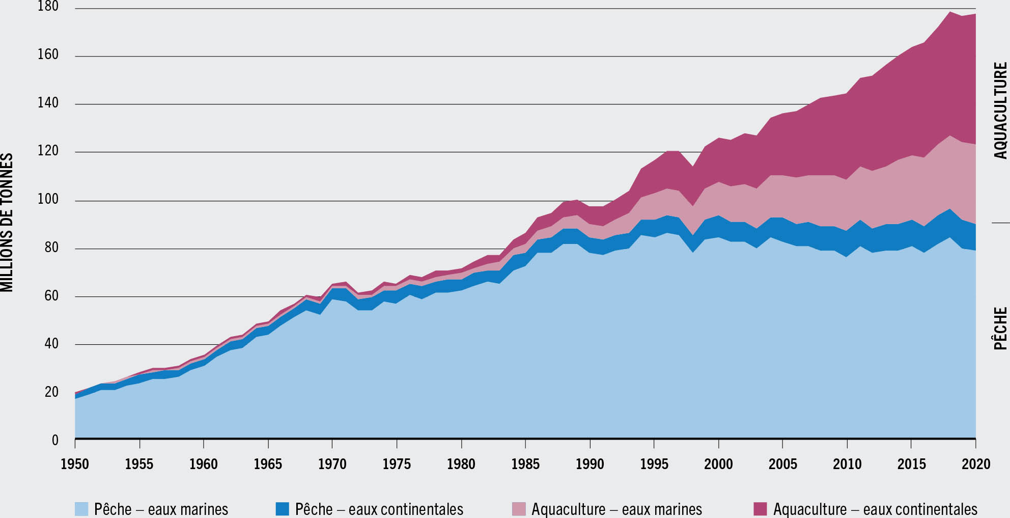 SOURCE: FAO.