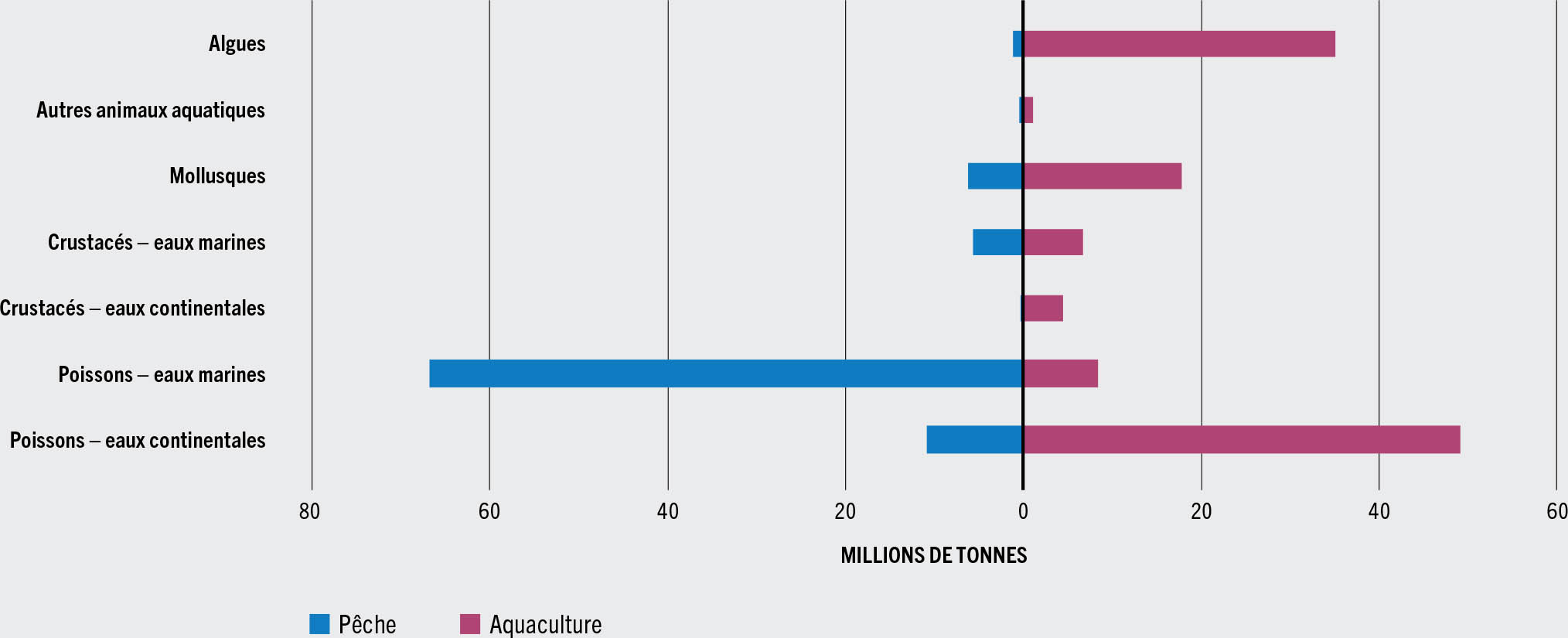 SOURCE: FAO.