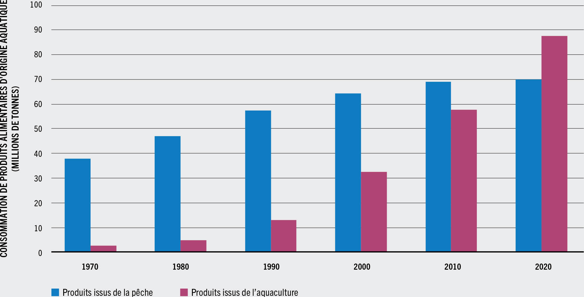 SOURCE: FAO.