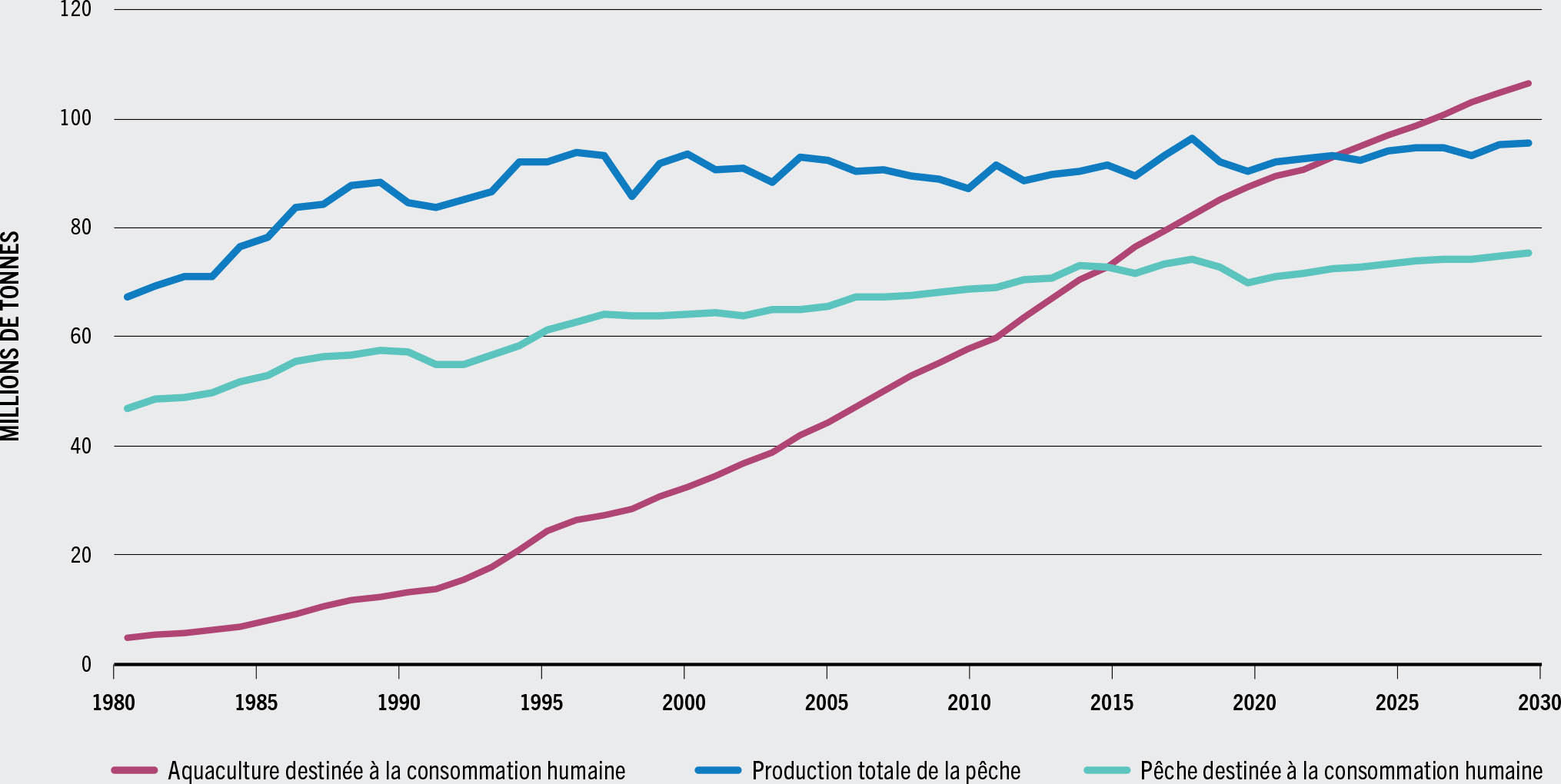 SOURCE: FAO.