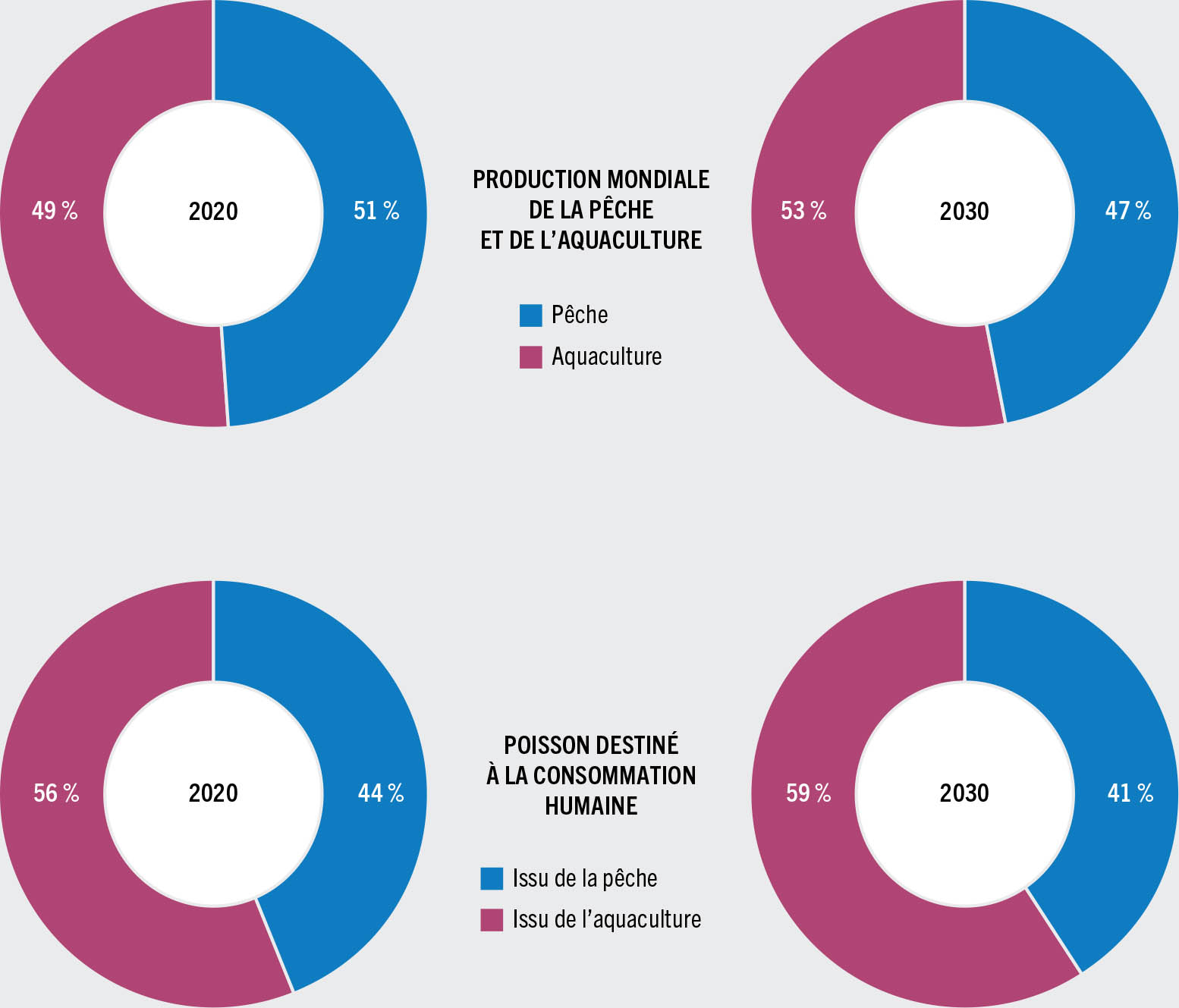 SOURCE: FAO.