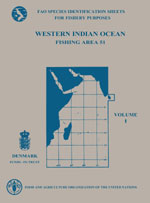 FAO Species identification sheets for fishery purposes. Western Indian Ocean: fishing area 51