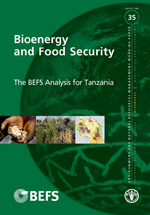 Bioenergy and Food Security