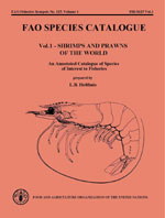 Vol.1 - SHRIMPS AND PRAWNS OF THE WORLD. An Annotated Catalogue of Species of Interest to Fisheries