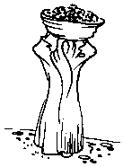 Figure: 39: Different ways of  transporting dates in and from the field