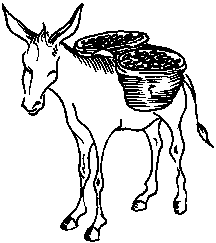 Figure: 39: Different ways of  transporting dates in and from the field