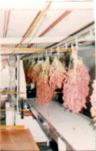 Figure 47: Prototype Washer/Stripper/Grader for Dates on the Bunch (Bahrain) 