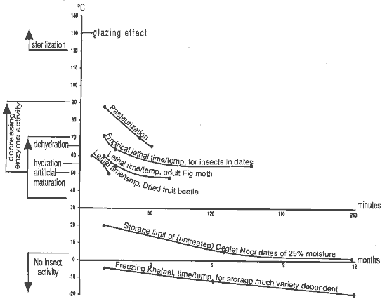 Figure 49: Effects of Temperature Manipulation in the Storage and Treatment of Dates