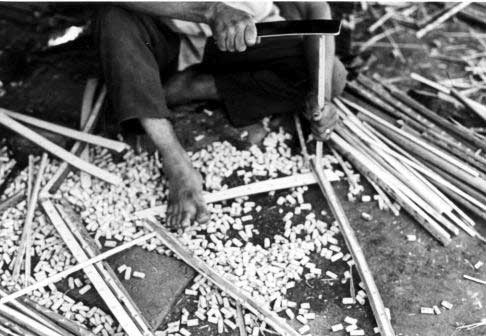 Figure 88: Crate making from the Leaf Midrib