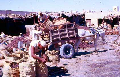 Figure 41: Pressing Dates in Baskets