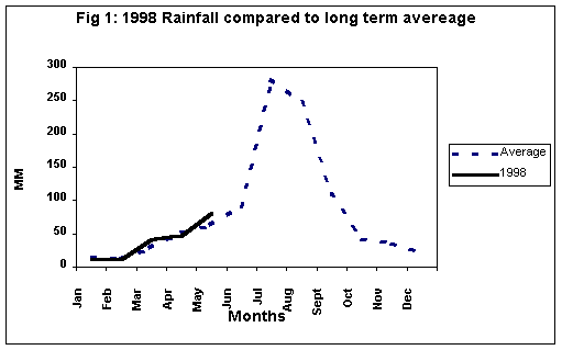 Undisplayed Graphic