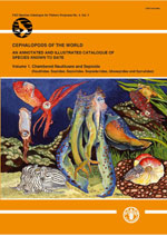 Cephalopods of the world. An annotated and illustrated catalogue of cephalopod species known to date. Volume 1. Chambered nautiluses and sepioids (Nautilidae, Sepiidae, Sepiolidae, Sepiadariidae, Idiosepiidae and Spirulidae)