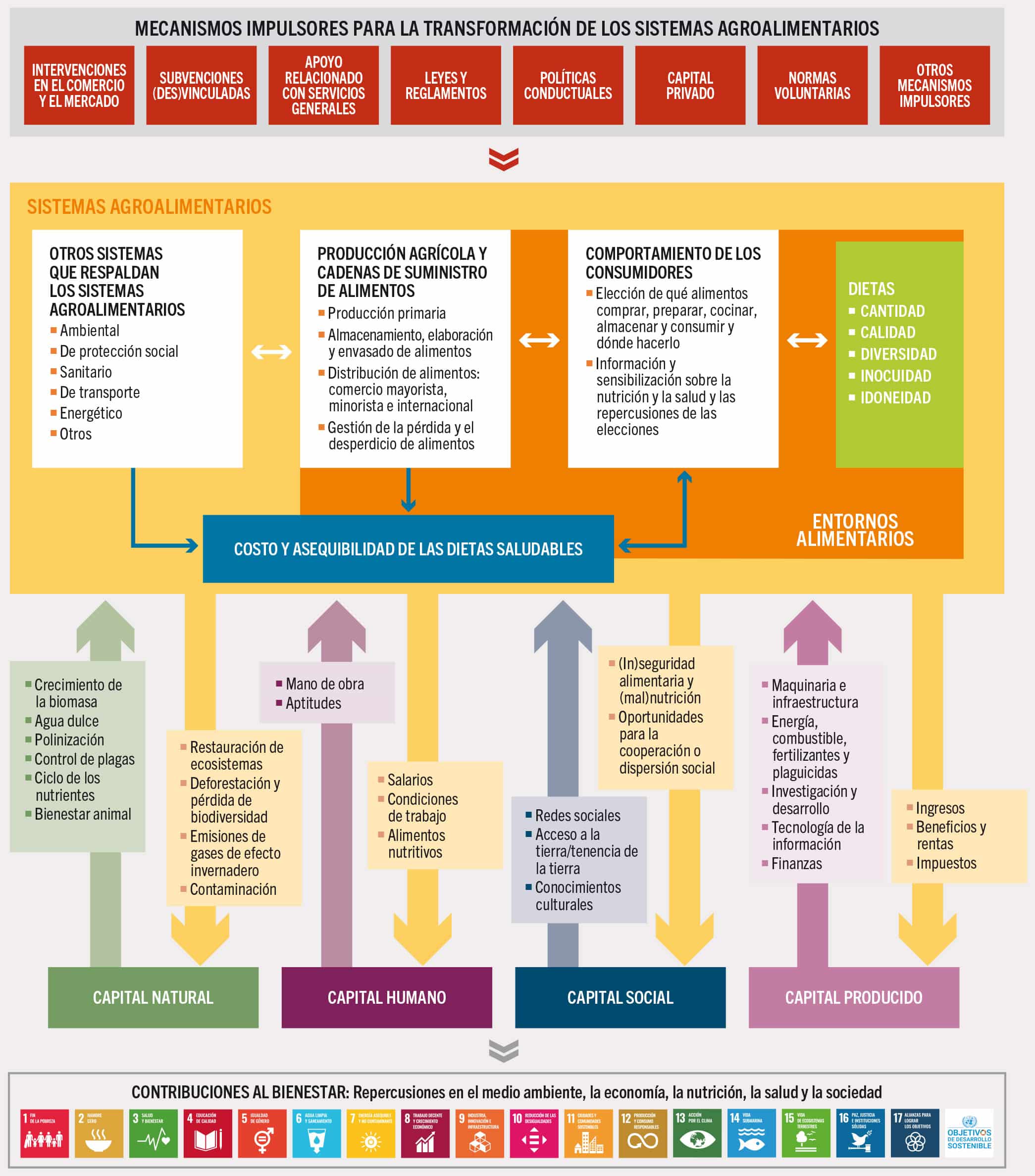 FUENTE: Adaptado de FAO, FIDA, OMS, PMA y UNICEF. 2022. El estado de la seguridad alimentaria y la nutrición en el mundo 2022. Adaptación de las políticas alimentarias y agrícolas para hacer las dietas saludables más asequibles. Roma, FAO. https://doi.org/10.4060/cc0639es; La economía de los ecosistemas y la biodiversidad (TEEB). 2018. TEEB for Agriculture & Food: Scientific and Economic Foundations. Ginebra (Suiza), Programa de las Naciones Unidas para el Medio Ambiente. (PNUMA). https://teebweb.org/wp-content/uploads/2018/11/Foundations_Report_Final_October.pdf.