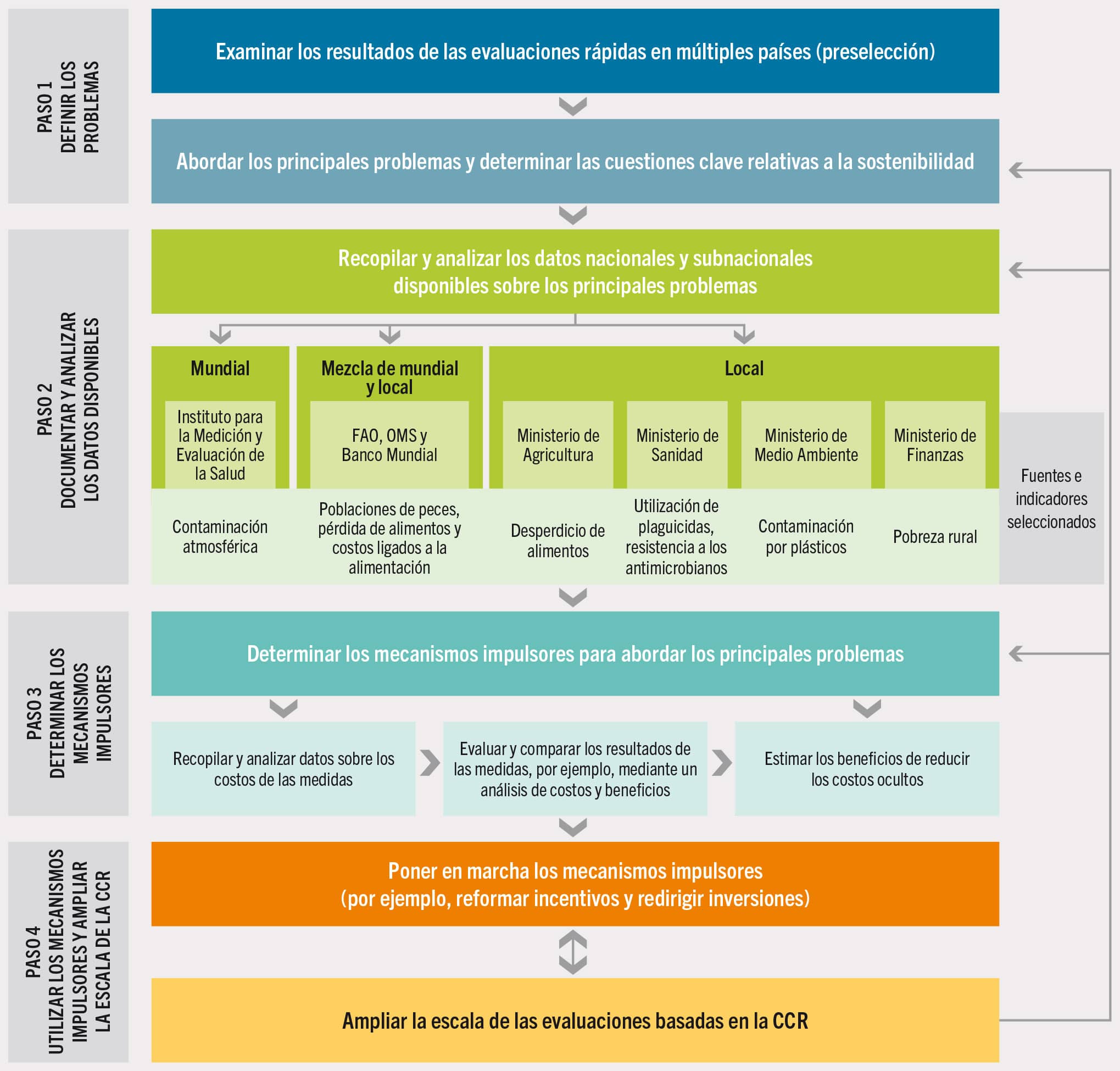 NOTAS: RAM = resistencia a los antimicrobianos; CCR = contabilidad de costos reales; OMS = Organización Mundial de la Salud. FUENTE: Adaptado de Markandya, A. 2023. Accounting for the hidden costs of agrifood systems in data-scarce contexts. Documento de antecedentes para El estado mundial de la agricultura y la alimentación 2023. Documento de trabajo de la División de Economía del Desarrollo Agrícola de la FAO, núm. 23-12. Roma, FAO.