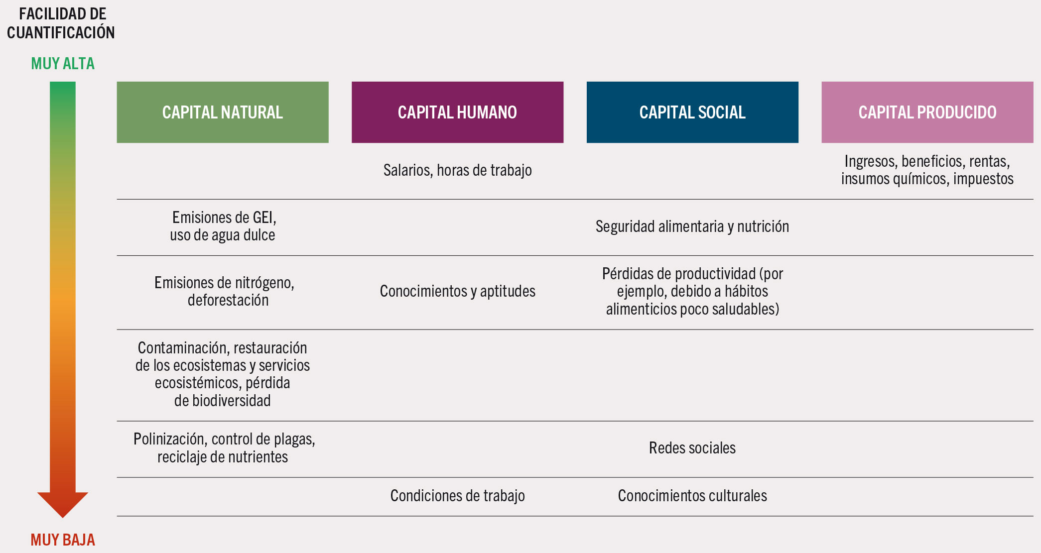 FUENTE: Elaborado por la FAO.