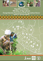 PROMISES AND CHALLENGES of the informal food sector in developing countries 