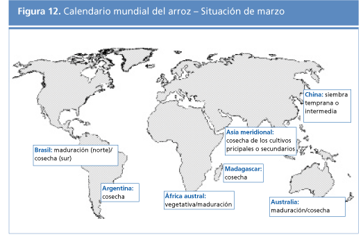 perspectivas alimentarias