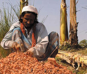  Alternatives for homestead catfish culture:  biri production (15 Tk/day, 30 US cents) or brick breadking (40 Tk/day).