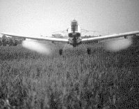 W6020e14.jpg (8370 bytes)