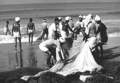 w6020e16.jpg (33633 bytes)