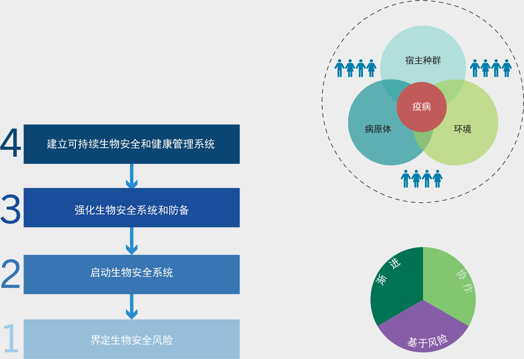 资料来源：粮农组织。