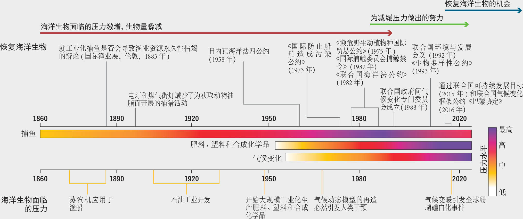 资料来源：整理自Duarte, C.M.、Agusti, S.、Barbier, E.、Britten, G.L.、Castilla, J.C.、Gattuso, J.和Fulweiler, R.W.。2020。“海洋生物恢复”。《自然》，第580期:39–51。https://doi.org/10.1038/s41586-020-2146-7