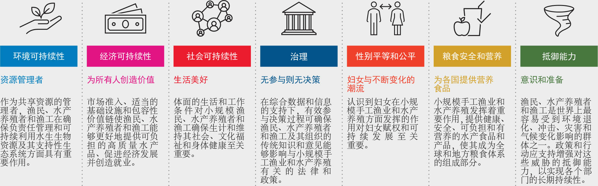 资料来源：粮农组织。2021。《2022国际手工渔业和水产养殖年全球行动计划》。罗马。www.fao.org/3/cb4875en/cb4875en.pdf