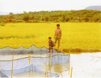 fryprod.jpg (49979 byte)