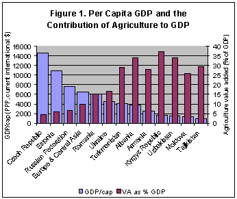 Undisplayed Graphic