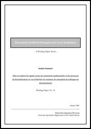 Household Livelihood Strategies and Local Institutions - Working Paper No. 14