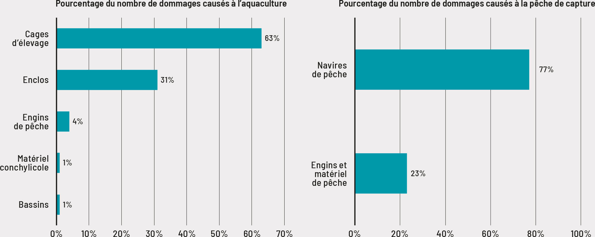 Source: FAO. 2022. Philippines: Damages and needs assessment of families affected by Super Typhoon Rai (“Odette”) in selected provinces of Region VIII and Region XIII. Manille. doi.org/10.4060/cc0207en