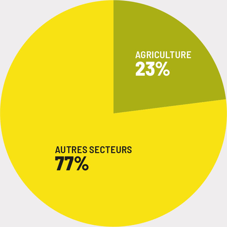 Source: Auteurs du présent document, à partir des données extraites des évaluations des besoins après des catastrophes.