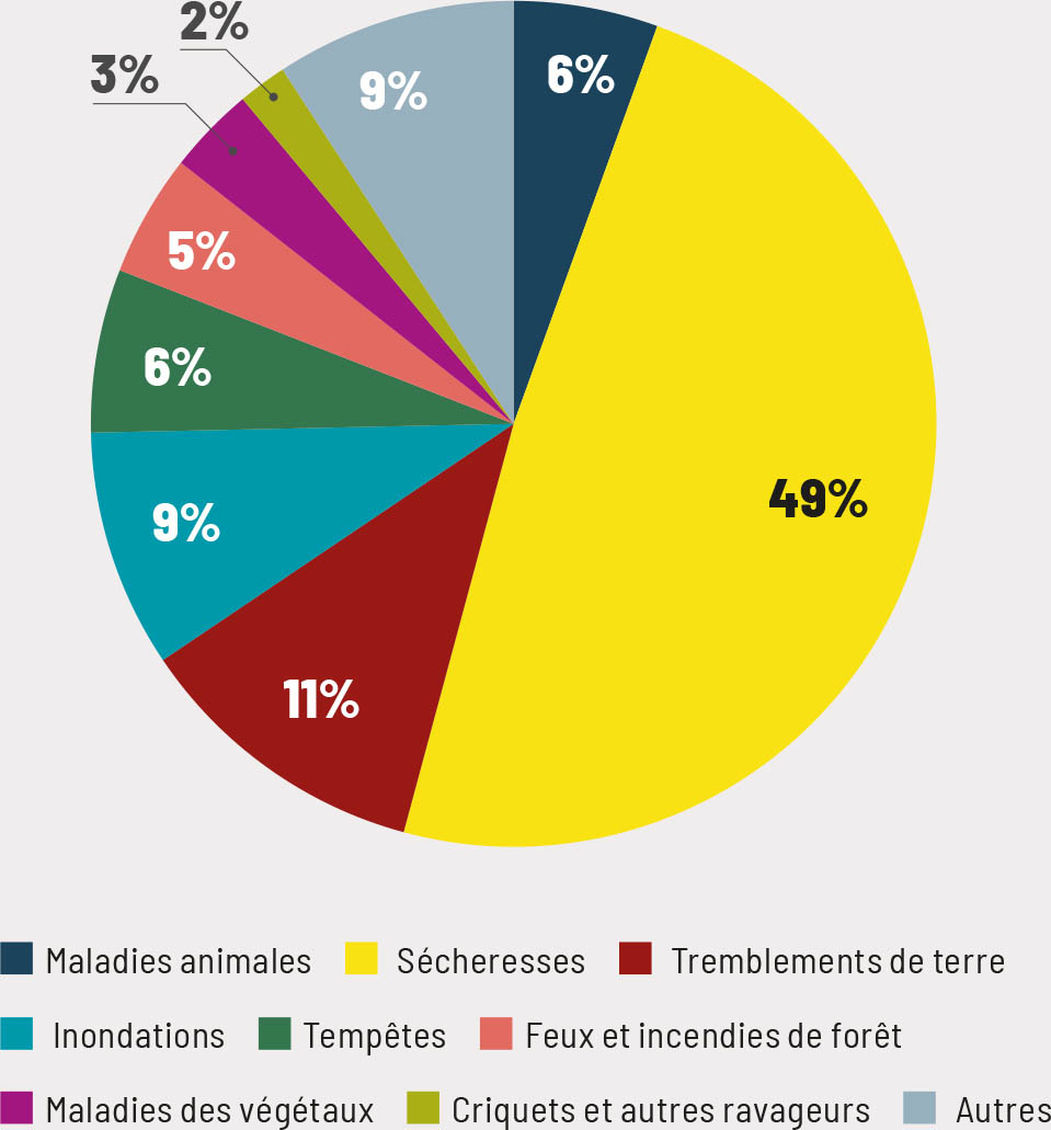 Source: Auteurs du présent document, d’après les données relatives à l’indicateur C2 du Cadre de Sendai fournies par le Bureau des Nations Unies pour la prévention des catastrophes.