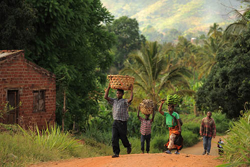 UNITED REPUBLIC OF TANZANIA – Farmers walk to the market with their goods.