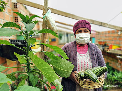 BOLIVIA (PLURINATIONAL STATE OF) - A farmer in her vegetable garden during the COVID-19 pandemic. 