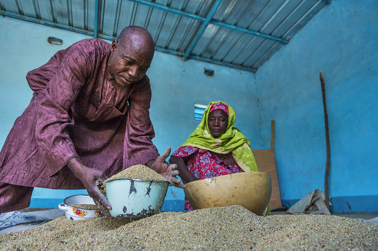 NIGER - Two participants in a local Dimitra Club collecting millet.