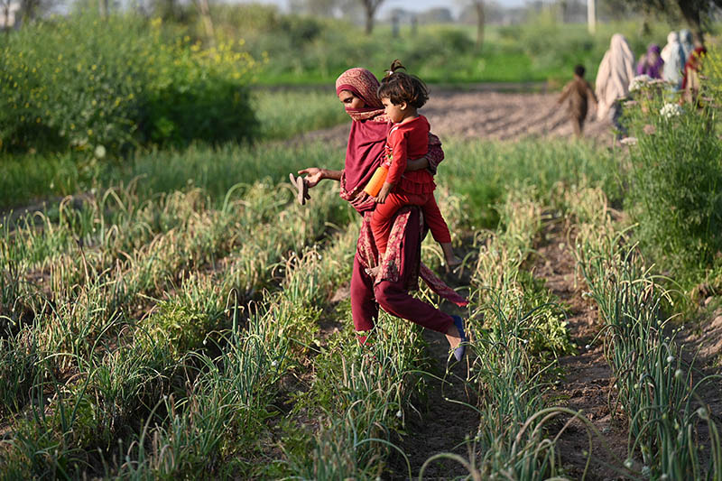 Pakistan – A woman carries her daughter as she arrives to work at a vegetable field.