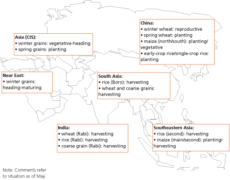 Crop Prospects and Food Situation