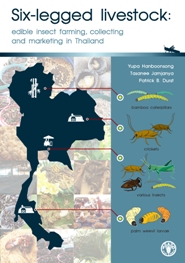 Six-legged livestock: Edible insect farming, collection and marketing in Thailand