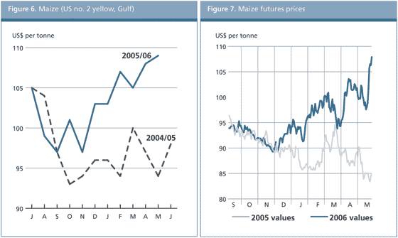 food outlook