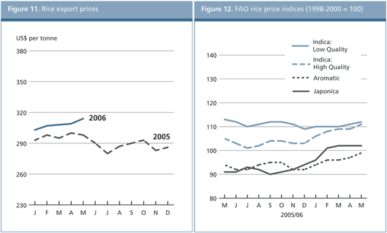 food outlook
