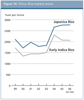 food outlook