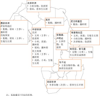 作物前景与粮食形势