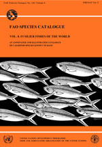 FAO species catalogue. Vol.8. Fusilier fishes of the world. An annotated and illustrated catalogue of Caesionid species known to date