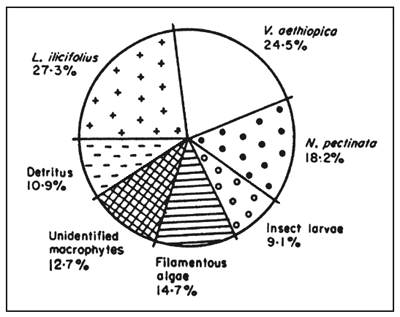 Figure 3-A