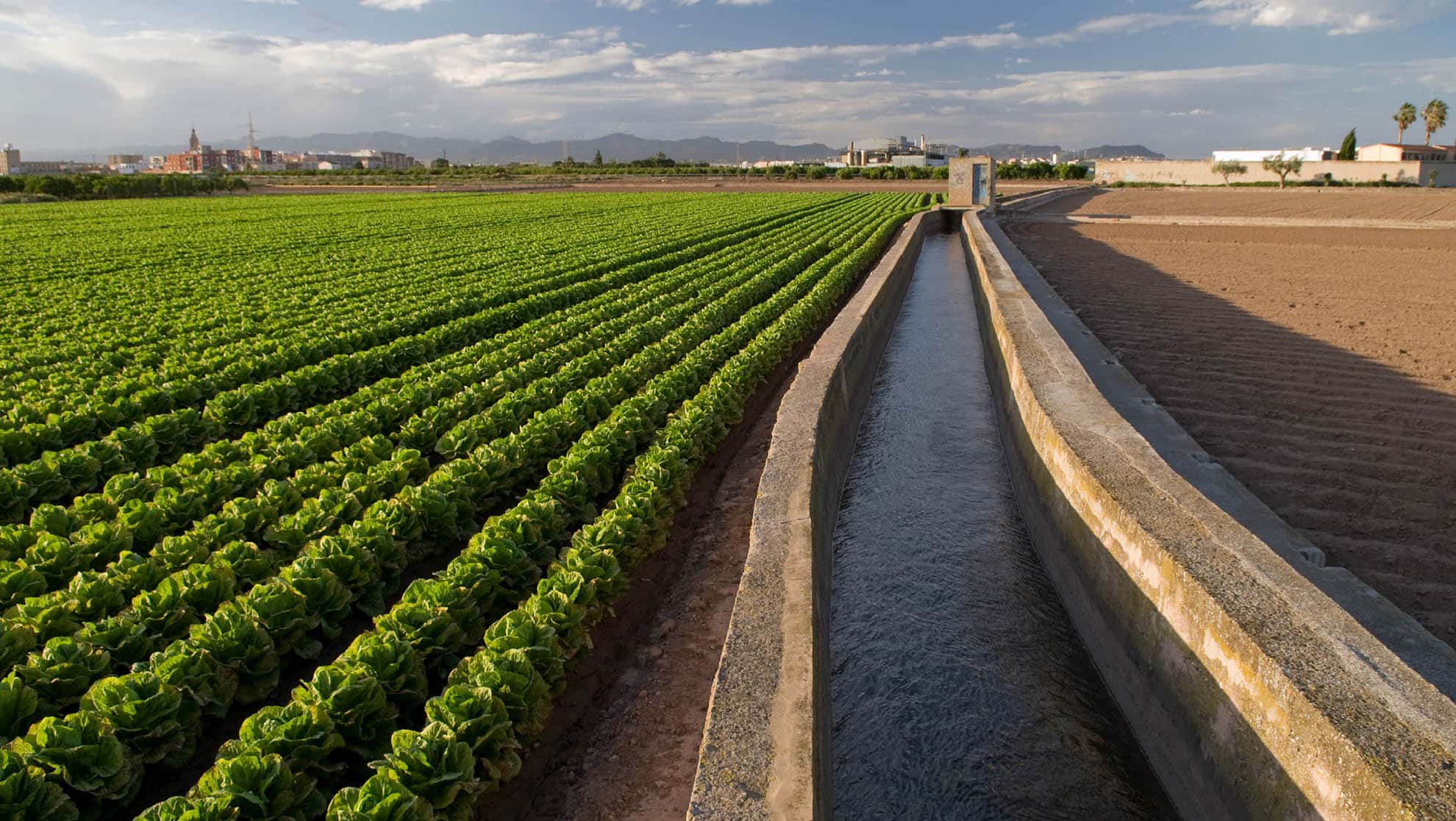 SPAIN The water channel in the Historical Irrigation System at the Horta of Valencia ©BRUNO ALMELA