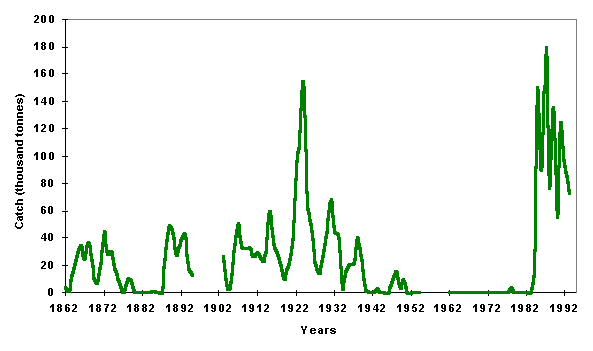 figure b16.5