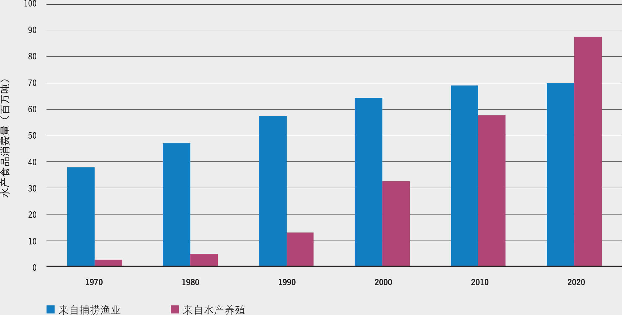 资料来源:粮农组织。